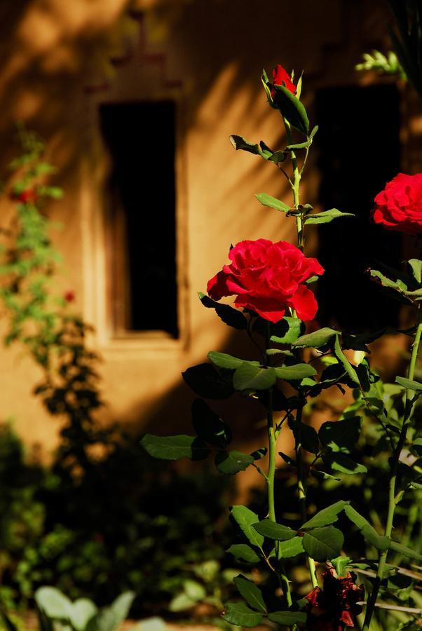 Maison D'Hotes Kasbah Azul Bed & Breakfast Agdz Exterior photo